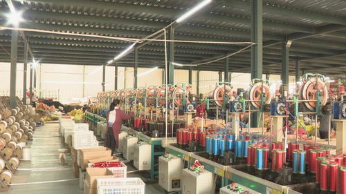 惠民繩網(wǎng)產(chǎn)業(yè)提檔升級(jí),每年開發(fā)20個(gè)系列200多種規(guī)格的產(chǎn)品